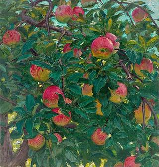 Apples in a tree