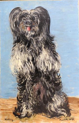 The Dog Bianco