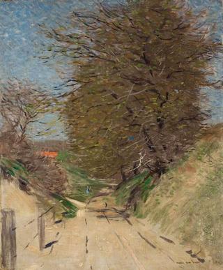 Farm Road with Trees