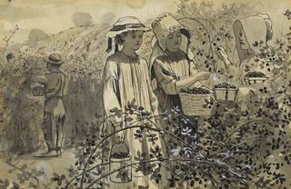 Gathering Wild Blackberries