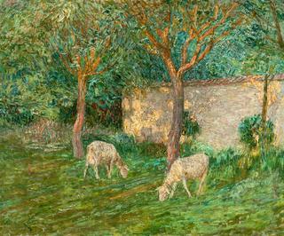 A Sunny Orchard with Sheep