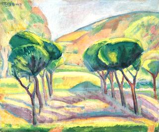 Southern-French Landscape