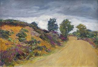 Road to Hindhead with Wild Flowers