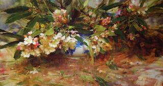Rhododendrons
