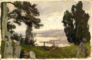 View of the Bosphorus and Istanbul