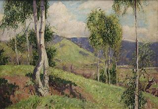 Birches in Fratta