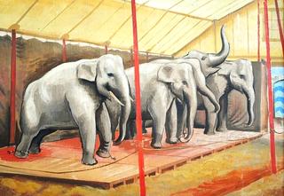Elephants