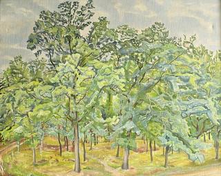Forest Footpath