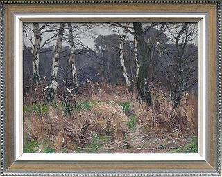 Birch Trees in Winter