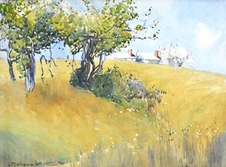 Rural Home