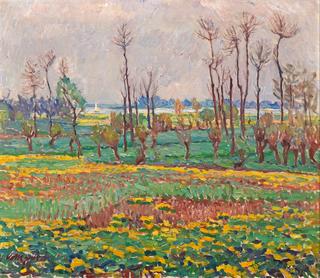 Spring Landscape