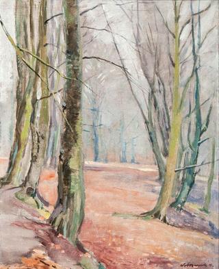 In the Woods