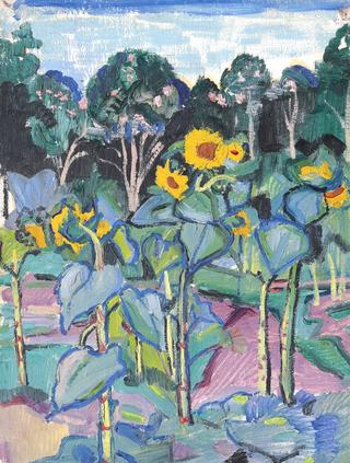 Sunflowers