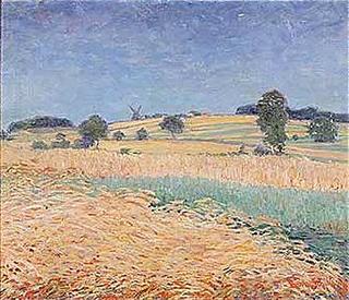 Corn fields with mill