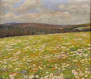 Field of Wild Flowers