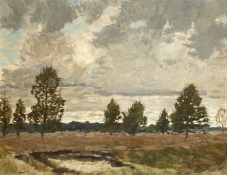 Bog landscape under clouds