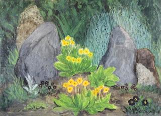 公园花园