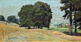 Noonday