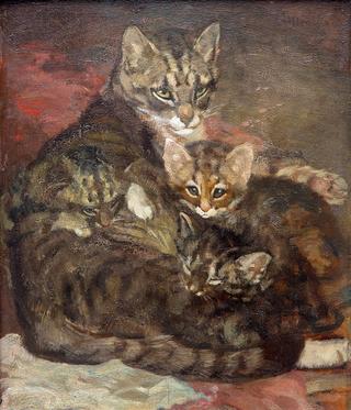 小猫妈妈