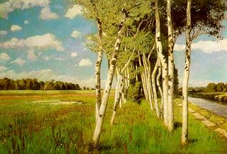 A Summer Day