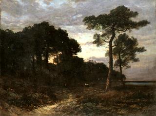 Paysage des Landes  (Landscape in the Landes)