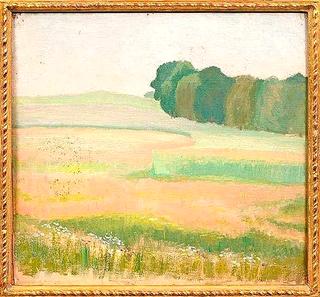 Summer Meadows