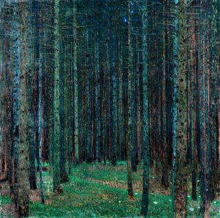 Pine Forest