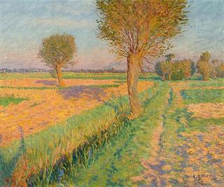 Evening in the fields near Allermoehe