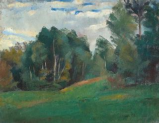 Forest Landscape