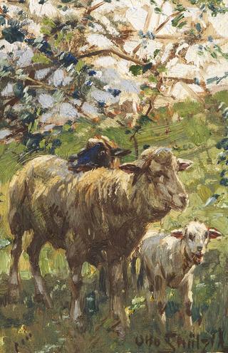 Three sheep under the apple tree
