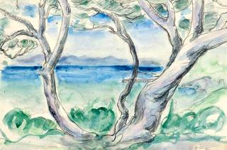 La Calanque
