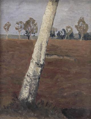 Birch Trunk in a Landscape