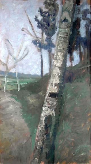 Birch Trunk in Front of Tree Landscape