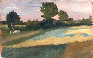 Evening Landscape with Buckwheat Field