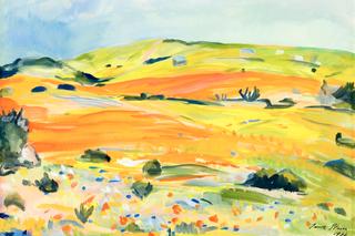 Spring - Namakwaland (Sic),
