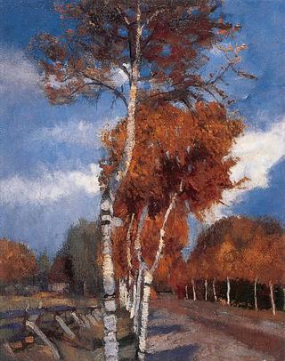 Birch Tree Allee
