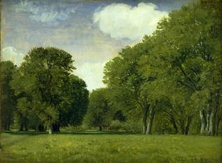 The Deer Park (study)