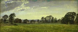 The Meadows at Dortheaslyst