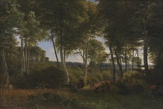 Forest at Scarlet Lake, Afternoon