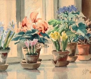 Flowers on a window sill