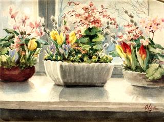 Flowers on a window sill
