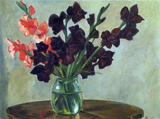 Black Gladioli