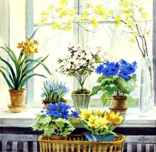 Flowering branches with potted wildflowers