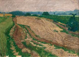 Fields in Wellingsbüttel