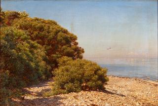 A Sunny Coastal Scene