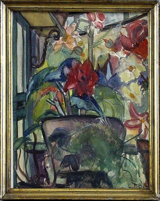 Flowering pot plants