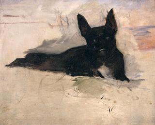 Little Dog Lying Down