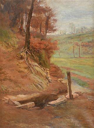 The abandoned wash basin