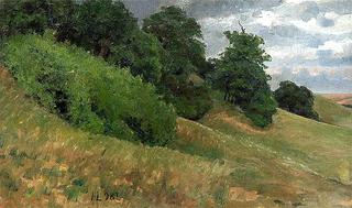 Summer in the Hills