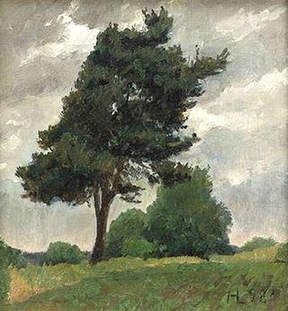 The Pine tree